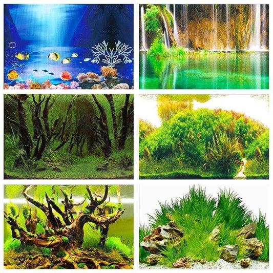 Poster en PVC mur de fond d'aquarium arrière-plan double face décoration d'aquarium-1-Petmonde