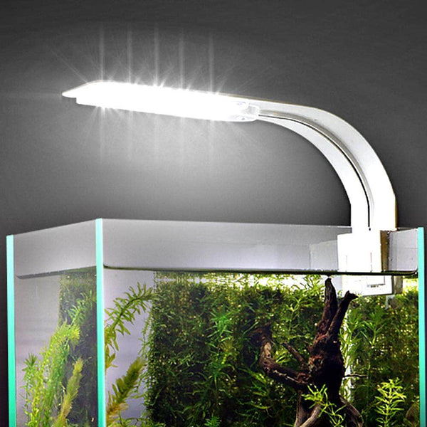 Rampe d'éclairage LED clipsable pour aquarium anti-brouillard avec un  design moderne