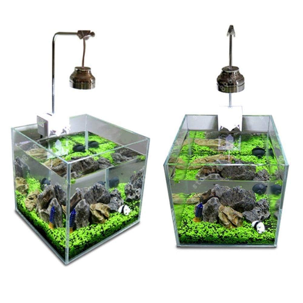 Waterweed graines plantes d'eau douce facile à cultiver décoration aquarium 10g-12-Petmonde