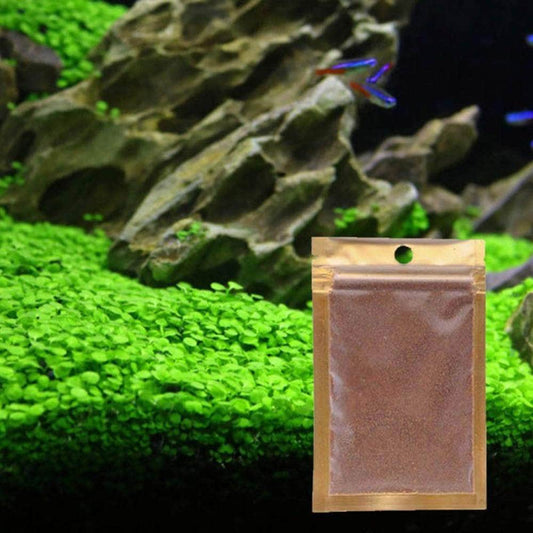 Waterweed graines plantes d'eau douce facile à cultiver décoration aquarium 10g-1-Petmonde