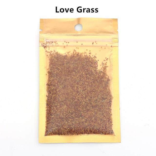 Waterweed graines plantes d'eau douce facile à cultiver décoration aquarium 10g-3-Petmonde